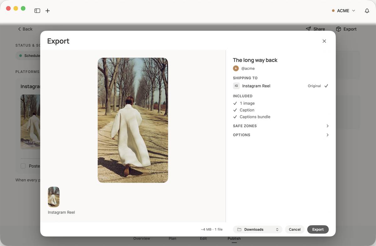 Export: platform cuts and captions ready to save
