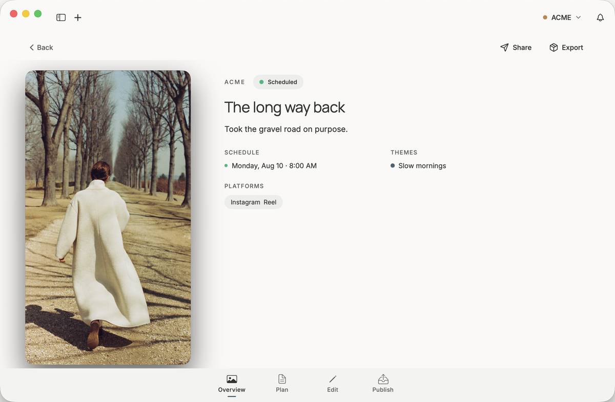 A post's Overview stage: the photo, title, caption, schedule, theme, and platform