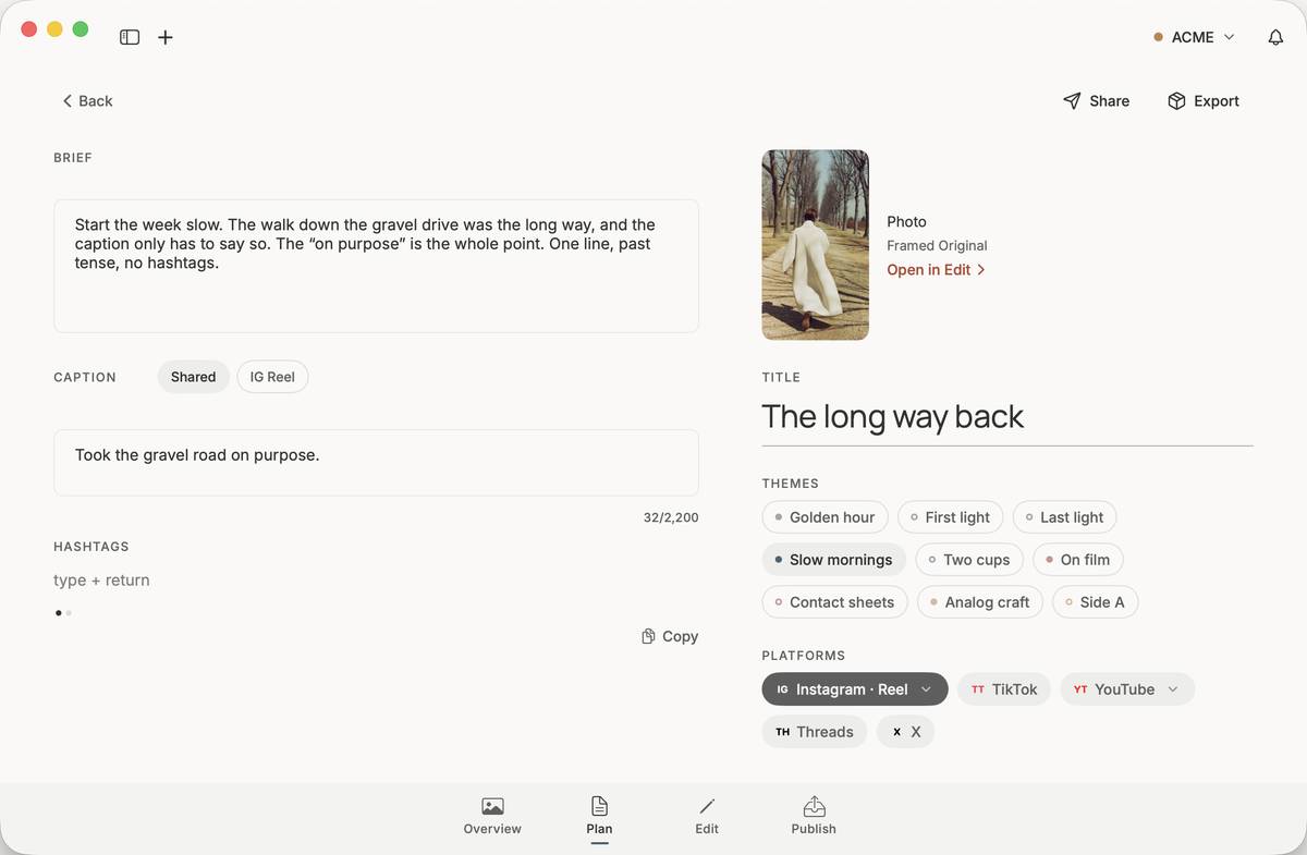 A post's Plan stage: brief, caption, title, themes, platforms
