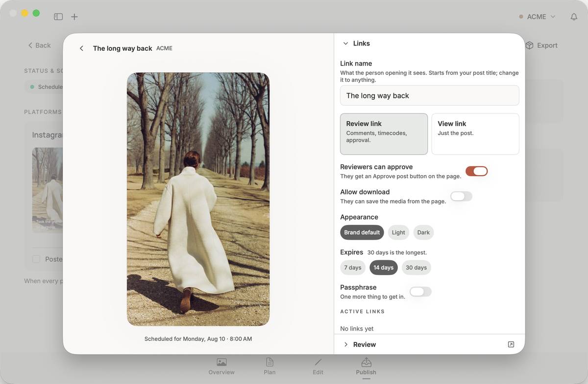 The Share sheet: review link or view link, expiry, download, passphrase